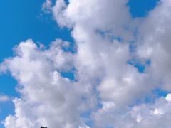 -黑瞎子岛探秘野熊园