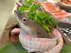 -金家烤鳗鱼(西塔旗舰店)