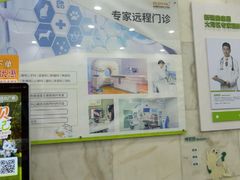 -瑞鹏宠物医院华南总院·夜诊·心脏科·骨科