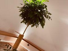 -光作面包Voila Lumiere(中山店)