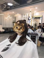 烫染-AYO SALON