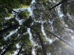 -山王坪喀斯特国家生态公园