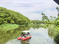-同里国家湿地公园