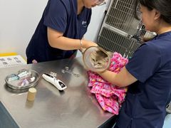 -良伴无忧宠物医院(泰欣嘉园店)