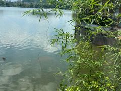 -东湖食堂·湖景餐厅•会议
