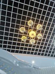 -蕾特恩专业祛痘国际连锁