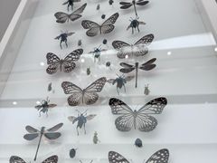 -中国湿地博物馆