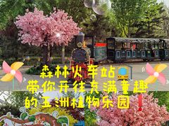 -南宫五洲植物乐园