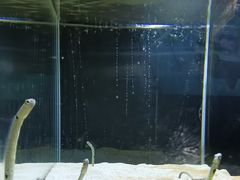 -沈阳海洋探索中心