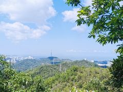 -板樟山森林公园