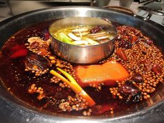 -孙毛肚火锅(春熙路店)
