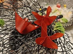 -迦南苑·新派青岛菜·生日纪念日主题餐厅
