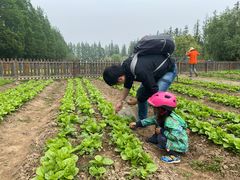 -前小桔亲子创意农场·草莓采摘·露营烧烤