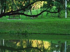 -人民公园(罗湖区)