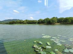 -湘湖大院(越王路店)