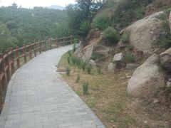 -白水寺森林公园