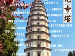 -开元寺塔