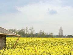 -中国天府农业博览园