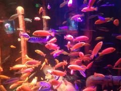 -沈阳海洋探索中心