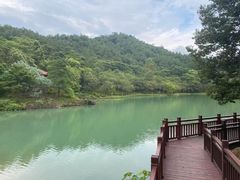 -广州白江湖森林公园