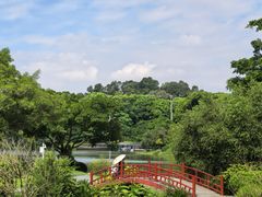 -东莞植物园