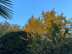 -南京民俗博物馆(甘熙故居)