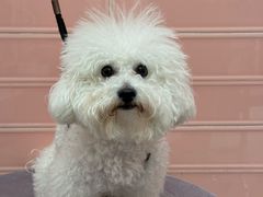 -FAELING PETS美天灵宠物(合生汇店)