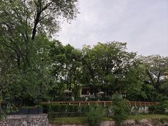 -渭滨公园