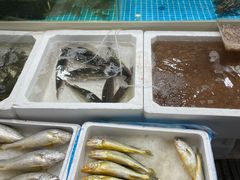 -鑫朱雀农贸批发市场