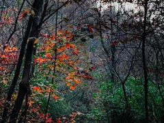 -敬亭山风景名胜区