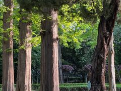 -南通博物苑-崇川人民公园