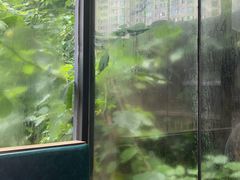 -树厨贵州菜(铜仁花果山店)