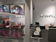 -ROSEONLY诺誓(广州K11店)