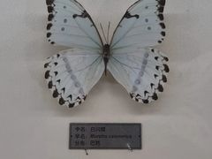 -郑州自然博物馆(惠济区)