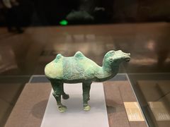 -甘肃省博物馆