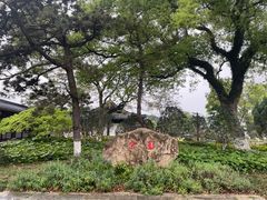 -江心屿景区