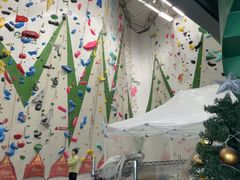 -绿壁虎攀岩基地(Tcar店)