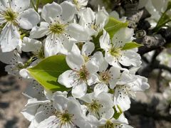 -梁鸿国家湿地公园