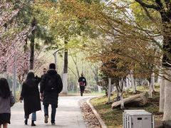 -天鹅湖体育公园