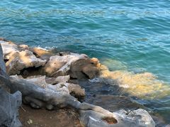 -千岛湖东南湖区