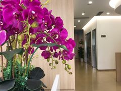 -天使口腔门诊部(上海店)