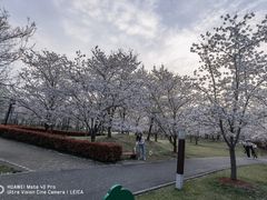 -自然谷恐龙园