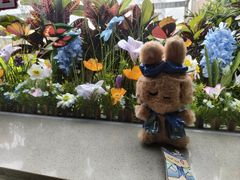 -海底捞火锅(百利广场店)