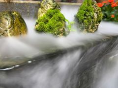 -文君楼美食·庭院酒店(宽窄巷子地铁站店)