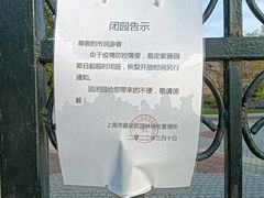 -嘉定紫藤园