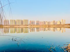 -永定河休闲森林公园