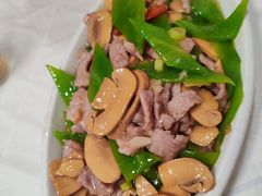 口蘑肉片-乐乐餐厅(湘子庙街店)