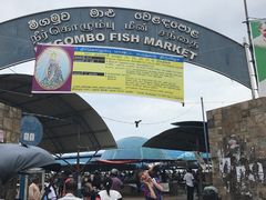 -尼甘布海鲜市场