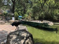 -昆明动物园