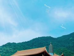 -深圳仙湖植物园